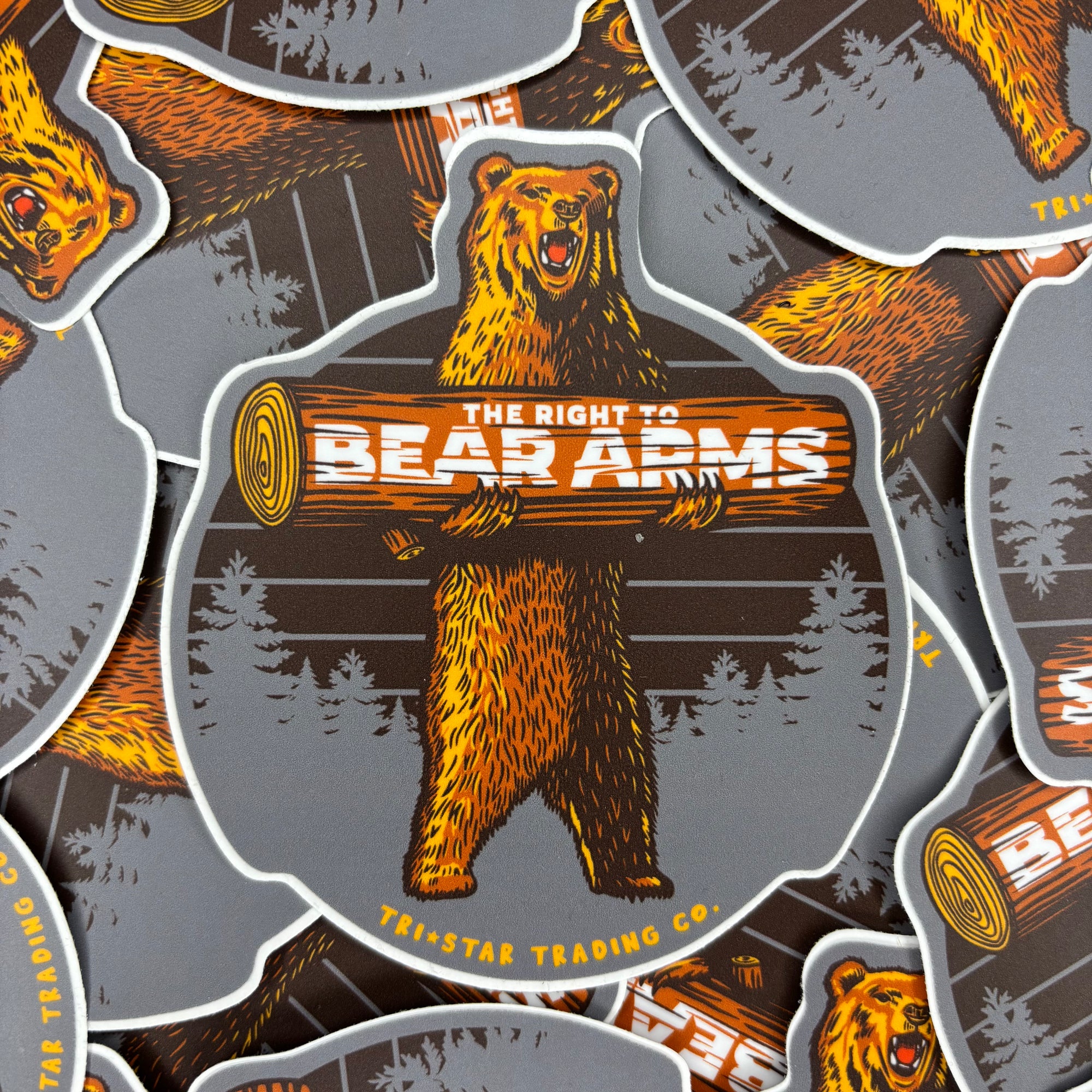 BEAR ARMS DECAL